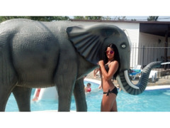 Проститутки Киев, Шевченковский Модель. Эксклюзивно