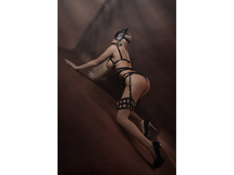 Индивидуалки Киев, Печерский