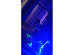 Проститутки Киев, Голосеевский Красотка сделает твой день идеальный