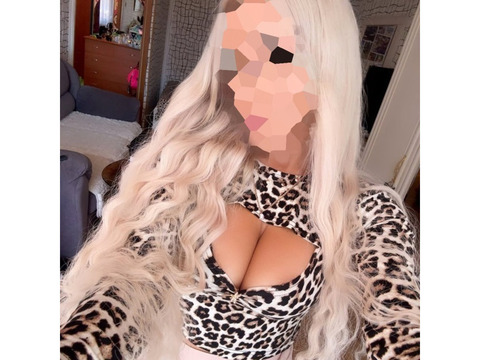 Индивидуалки Киев, Шевченковский