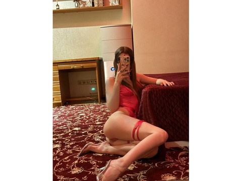 Индивидуалки Киев, Голосеевский