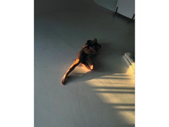 Проститутки Киев, Дарницкий Горячая красавица для незабываемых моментов