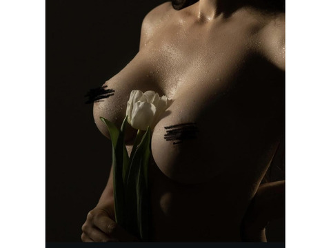 Индивидуалки Киев, Шевченковский