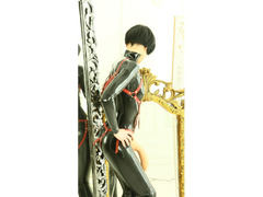 Проститутки Киев, Шевченковский Mistress