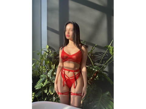 Индивидуалки Киев, Печерский